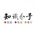 知识分子