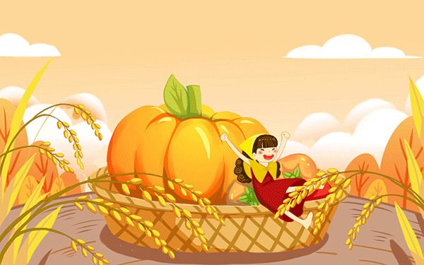 电信工程师是什么职业
