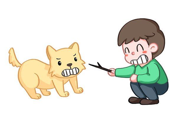 工程师助理要做什么